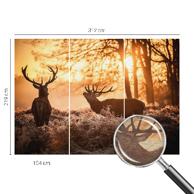 High quality photo wallpaper featuring a deer in the morning