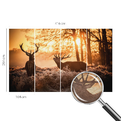 High quality photo wallpaper featuring a deer in the morning