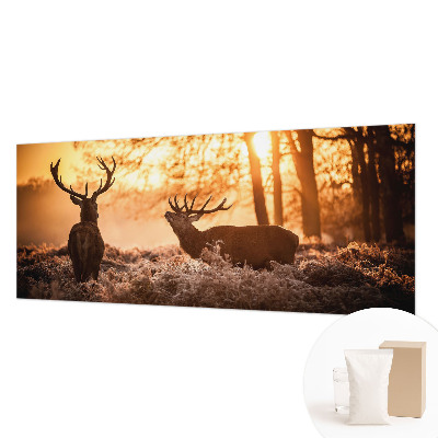 High quality photo wallpaper featuring a deer in the morning