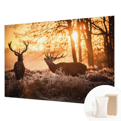 High quality photo wallpaper featuring a deer in the morning