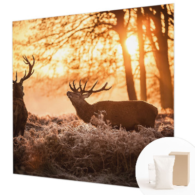 High quality photo wallpaper featuring a deer in the morning