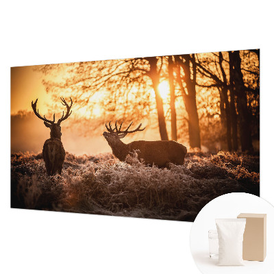 High quality photo wallpaper featuring a deer in the morning