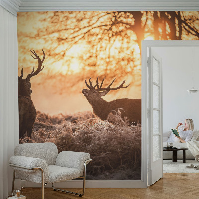 High quality photo wallpaper featuring a deer in the morning