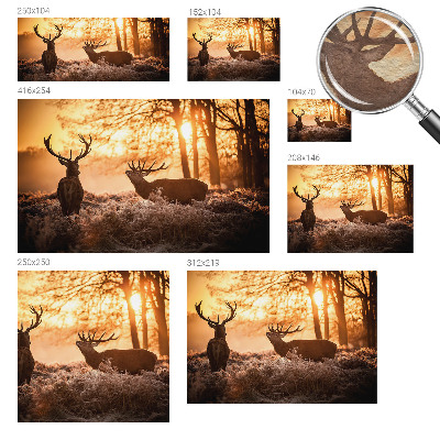 High quality photo wallpaper featuring a deer in the morning