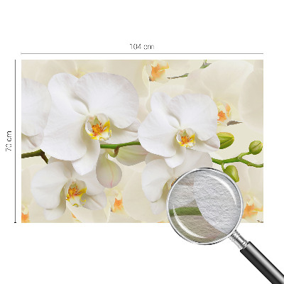 Photo wallpaper Floral wealth