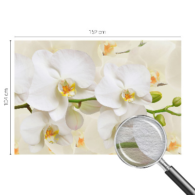 Photo wallpaper with a floral motif