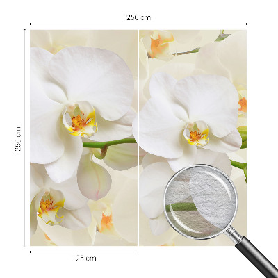 Photo wallpaper Floral wealth
