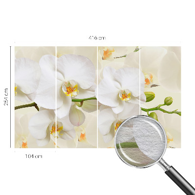 Photo wallpaper with a floral motif