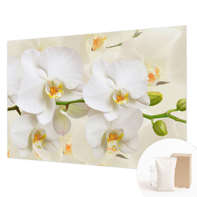Photo wallpaper with a floral motif