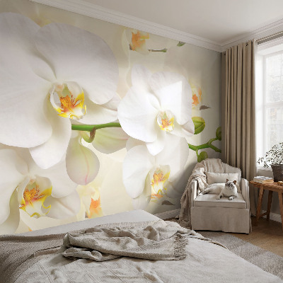 Photo wallpaper with a floral motif