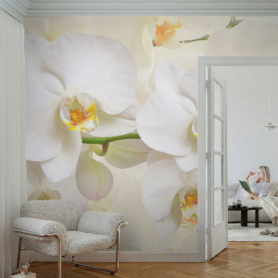 Photo wallpaper Floral wealth