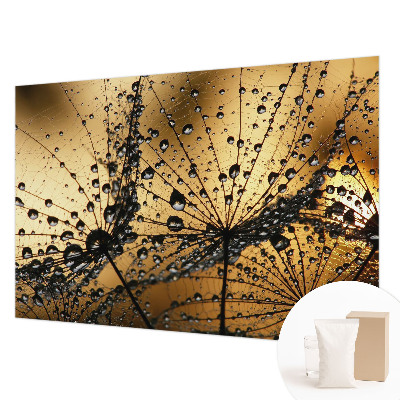 Photo wall mural with a delicate raindrop pattern