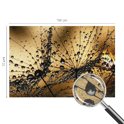 Photo wall mural with a delicate raindrop pattern
