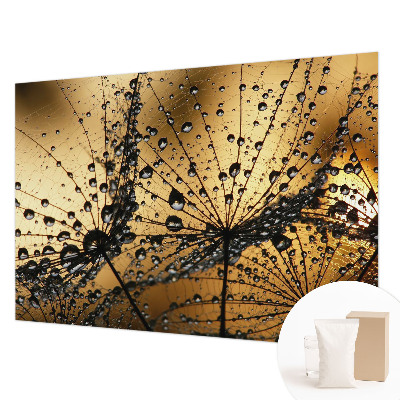 Photo wall mural with a delicate raindrop pattern