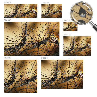 Photo wall mural with a delicate raindrop pattern