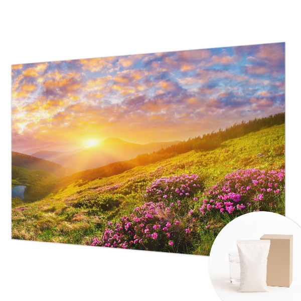 Large wallpaper mural Mountain West