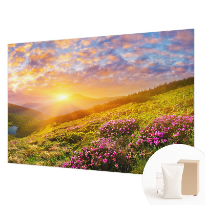 Large wallpaper mural Mountain West