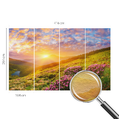 Large wallpaper mural with a Mountain West landscape design