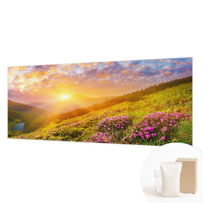 Large wallpaper mural with a Mountain West landscape design