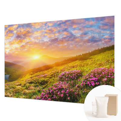 Large wallpaper mural Mountain West