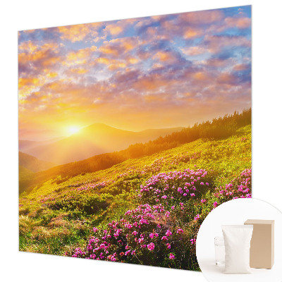 Large wallpaper mural with a Mountain West landscape design