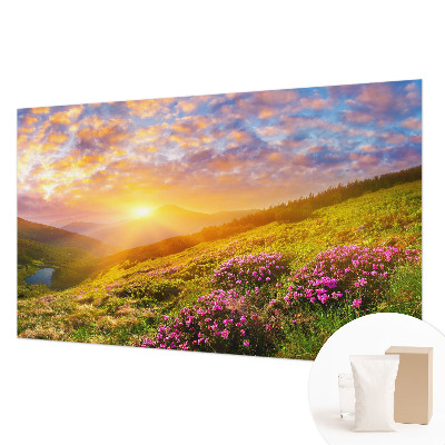 Large wallpaper mural with a Mountain West landscape design