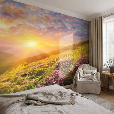 Large wallpaper mural with a Mountain West landscape design
