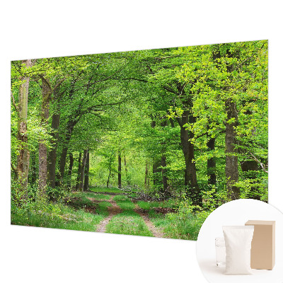 Large wall mural wallpaper Forest path