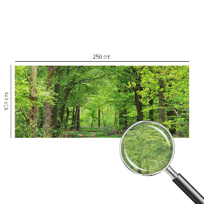 Large wall mural wallpaper with a forest path design