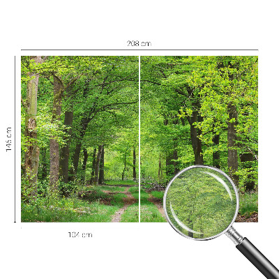 Large wall mural wallpaper Forest path