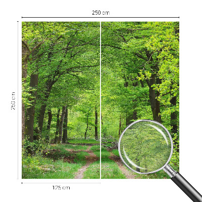 Large wall mural wallpaper Forest path