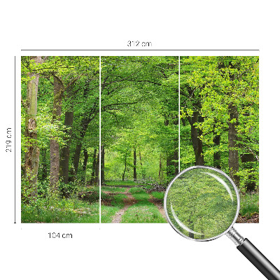 Large wall mural wallpaper Forest path