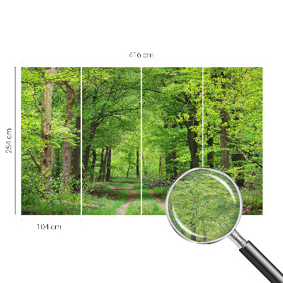 Large wall mural wallpaper Forest path