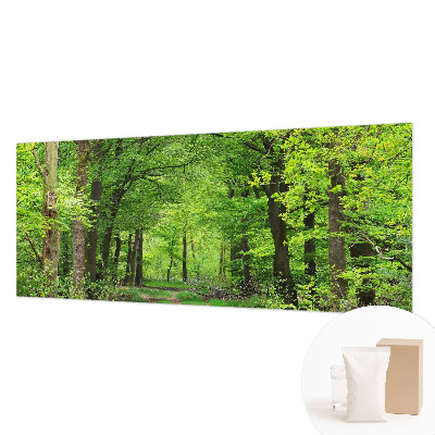 Large wall mural wallpaper Forest path