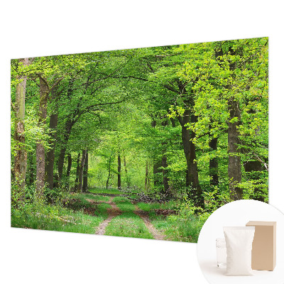 Large wall mural wallpaper Forest path