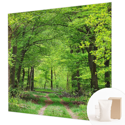 Large wall mural wallpaper with a forest path design