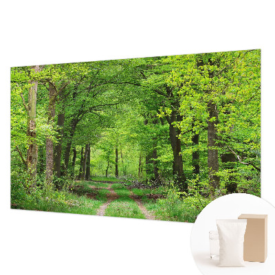 Large wall mural wallpaper with a forest path design