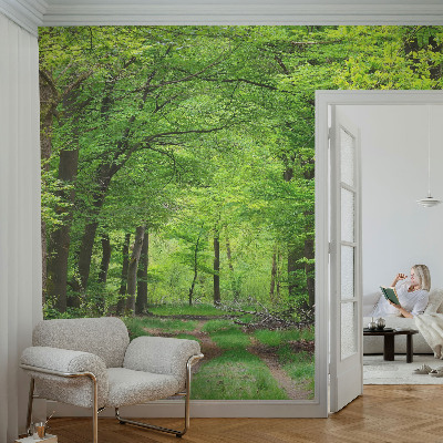 Large wall mural wallpaper Forest path