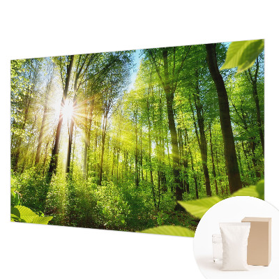 Custom size wall mural with a forest light design