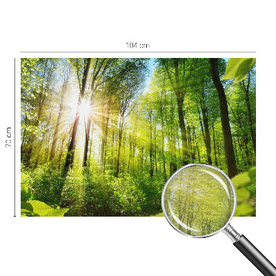 Custom size wall mural with a forest light design