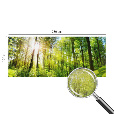 Custom size wall mural with a forest light design