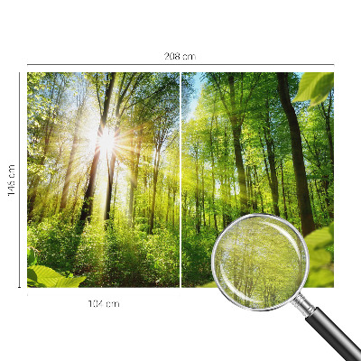 Custom size wall mural with a forest light design