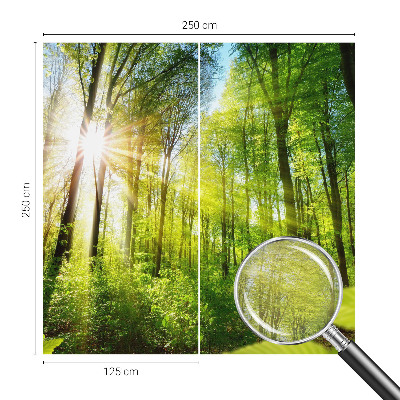 Custom size wall mural with a forest light design