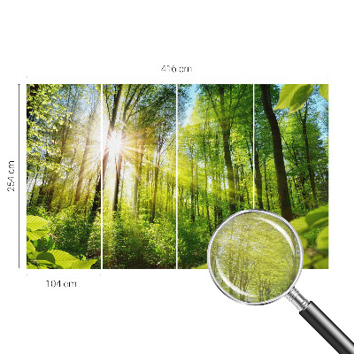 Custom size wall mural Forest light