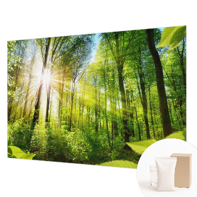 Custom size wall mural Forest light