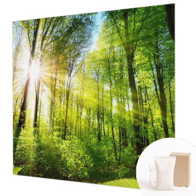 Custom size wall mural Forest light
