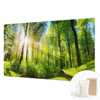 Custom size wall mural Forest light