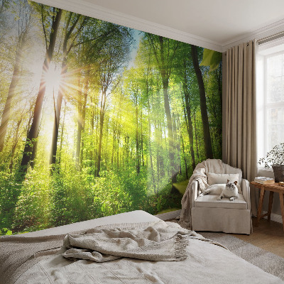 Custom size wall mural Forest light