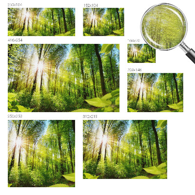 Custom size wall mural Forest light