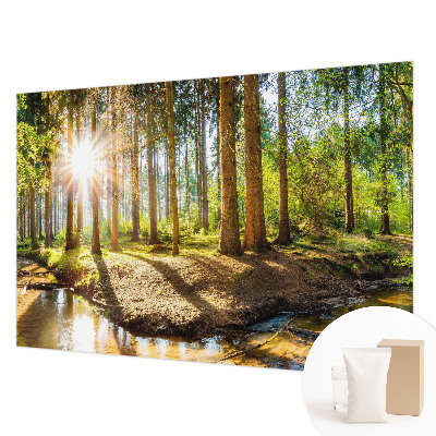 Modern wall mural for bedroom Forest idyll